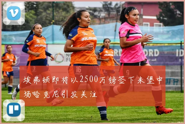 埃弗顿即将以2500万镑签下米堡中场哈克尼引发关注
