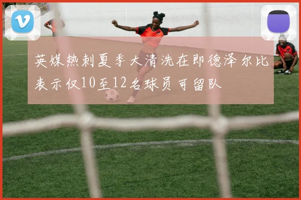 英媒热刺夏季大清洗在即德泽尔比表示仅10至12名球员可留队